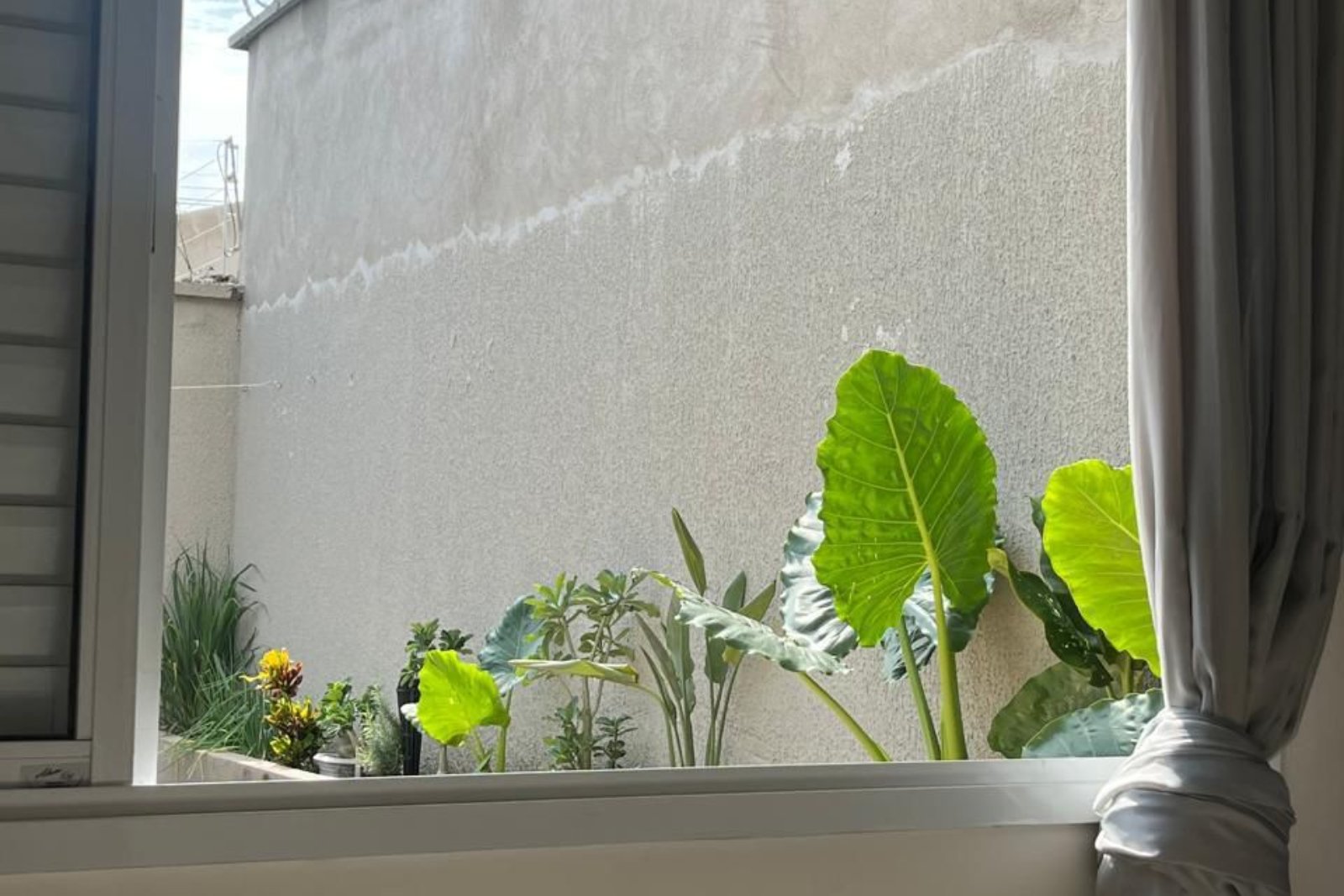 WhatsApp Image 2026-02-20 at 10.55.46 (1)-1600×1067